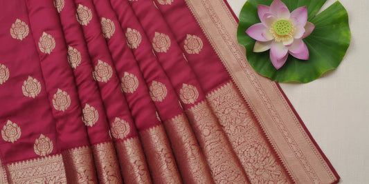 Draping Stories: A Conversation with a Saree Drapist